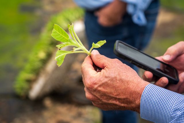 Farm Intelligence in the Age of Climate Uncertainty: Inside Deepflow Technologies’ Data-Driven Revolution